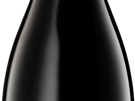 Yalumba Shiraz Viognier The Y Series 2016 Online