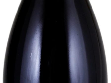 Aurelien Verdet Nuits Saint Georges Les Damodes 2012 Hot on Sale