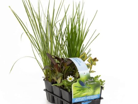 30035 Insects Waterplants For Discount