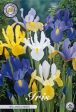 Iris Mixed 15-pack Online Hot Sale