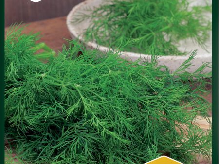 Dill, Blad-, Gold Crown, Organic Hot on Sale