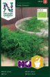 Dill, Blad-, Gold Crown, Organic Hot on Sale