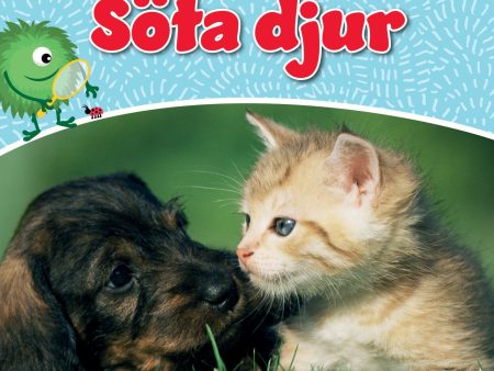 Söta djur on Sale