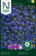 Lobelia, Kant-, Crystal Palace For Discount