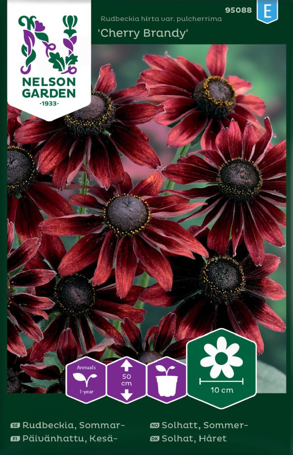 Rudbeckia, Sommar-, Cherry Brandy Supply