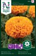 Tagetes, Stor-,  Taishan Orange  Sale