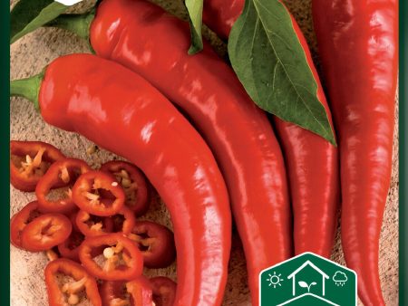 Chilipeppar, Cayenne Long Slim Online