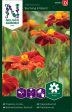 Tagetes, Linné-, Burning Embers For Discount