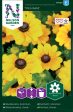 Rudbeckia, Sommar-, Toto Gold, låg Online