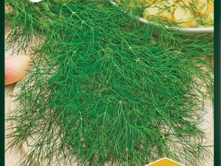 Dill, Blad-, Bouquet For Discount