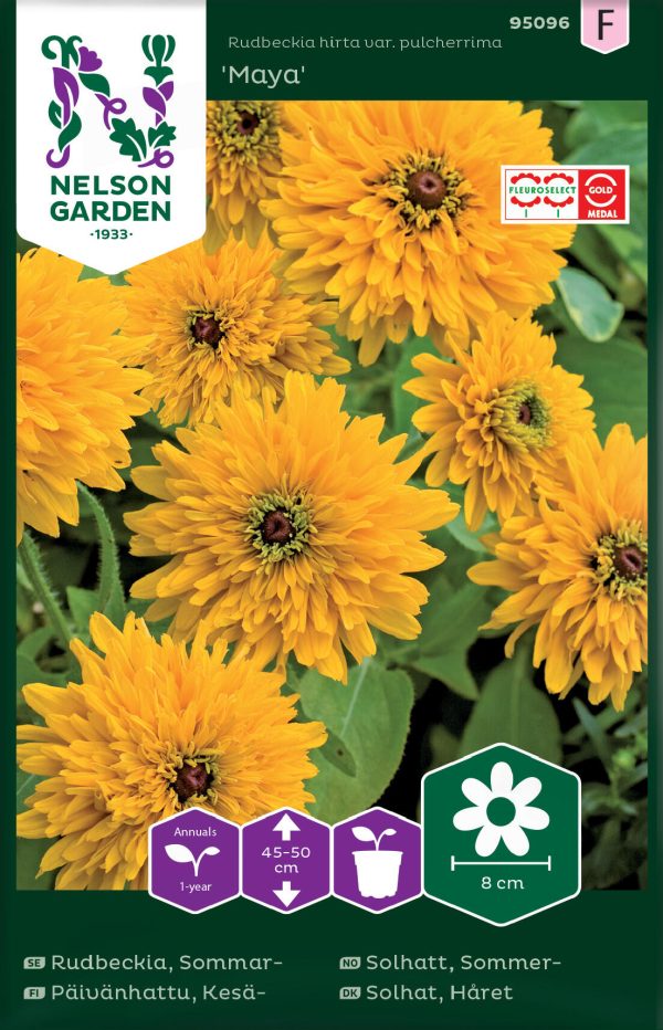 Rudbeckia, Sommar-, Maya For Sale