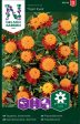 Tagetes, Sammets-, Tiger Eyes Hot on Sale