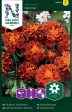 Tagetes, Sammets-, Panther For Sale