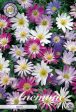 Balkansippa-Anemone Blanda  Mixed  20-pack Hot on Sale