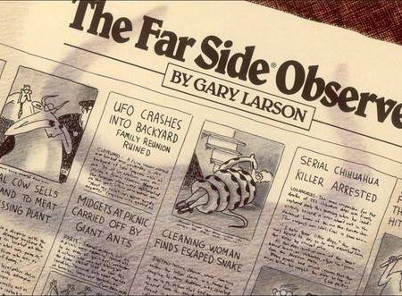 The Far Side Observer Hot on Sale