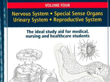 Anatomy Student s Colour-In Handbooks: Volume Four Discount