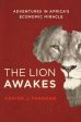 The Lion Awakes Sale