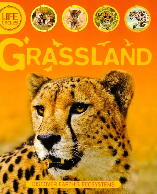 Life Cycles Grassland For Cheap