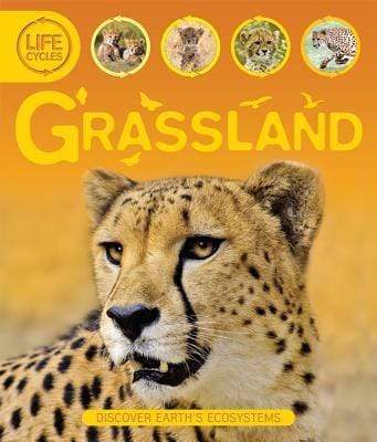 Life Cycles: Grassland Fashion