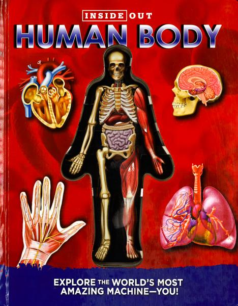 Inside Out Human Body Hot on Sale